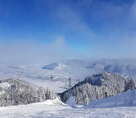 Szálloda Altwirt 3*